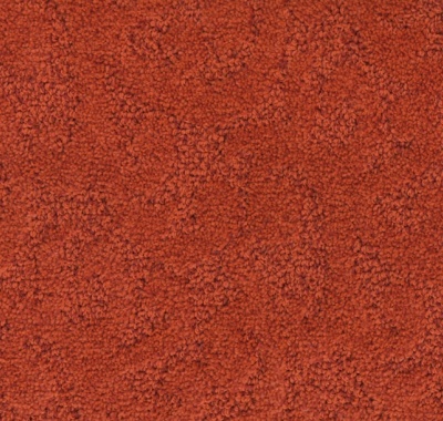 000010-104