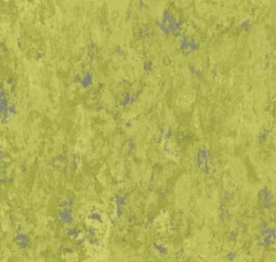 Veneto Absinthe, 14849695
