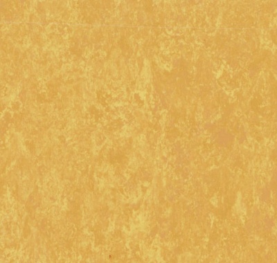 Veneto Sunflower, 14849628