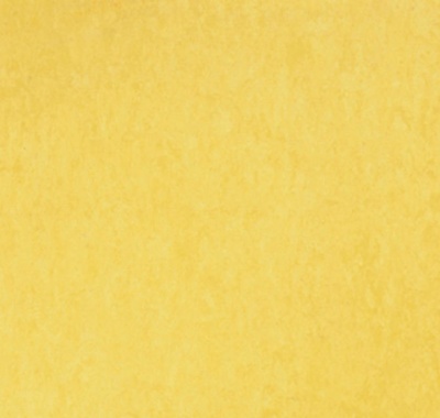 Style Emme Giallo, 14835219