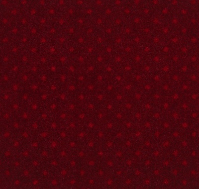 Pindot 120 koraal