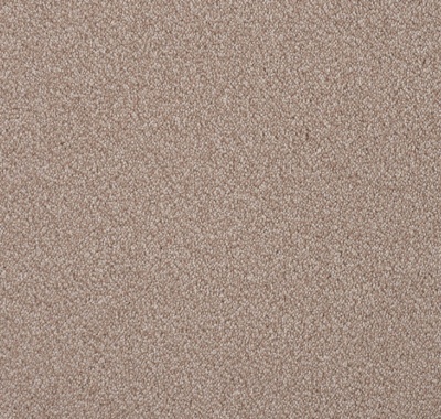 Fusion 262 beige 2