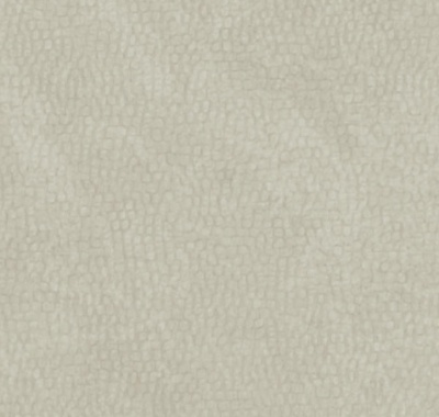 Havane Sand, 4694043