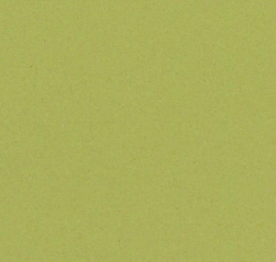 Etrusco Anise, 14877095