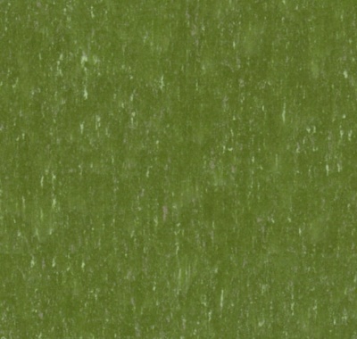 Trentino Moss, 14502552