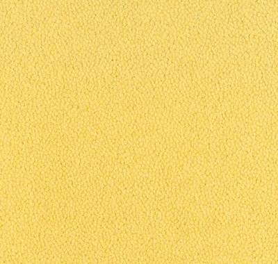 Westbond Ibond Natural 9859