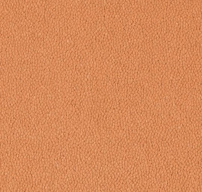 Westbond Ibond Reds 9569 coral