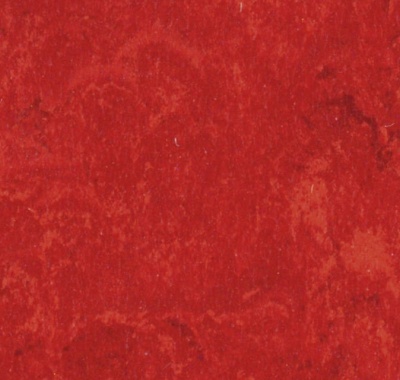 Veneto Carmine, 14849645