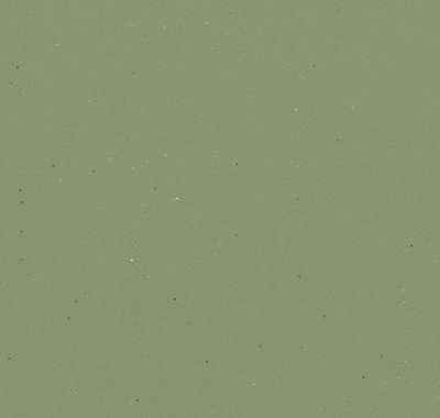 Eternal Colour 43702
