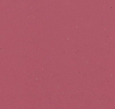 Eternal Colour 43722