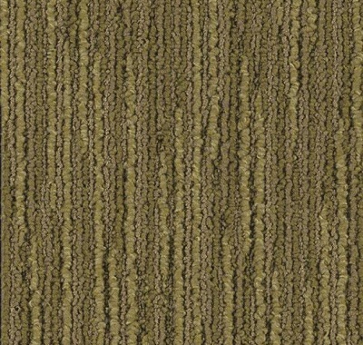 Seagrass, 3225