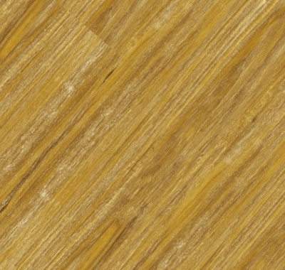 Citrus Yellow (COL 08)