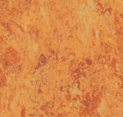 Veneto Amber, 1805636