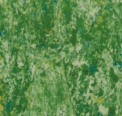 Veneto Grass, 1805650