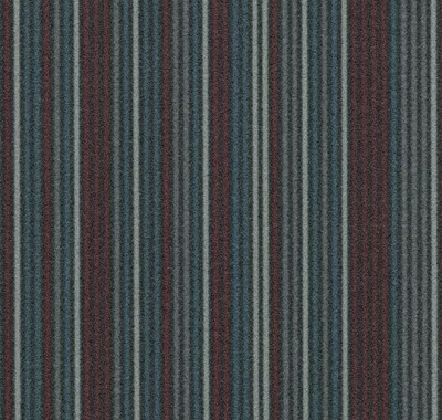 Complexity, t550006