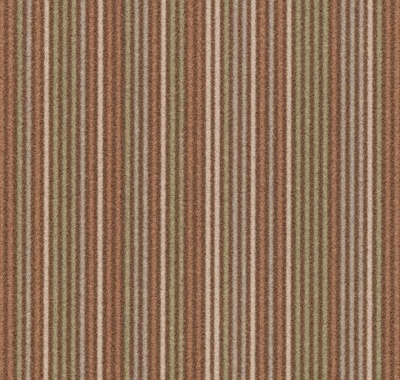 Complexity, t550010
