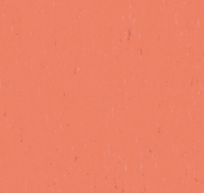 Trentino Grapefruit, 14502530