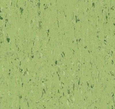 Cruisser NG, 2727 Lime Green