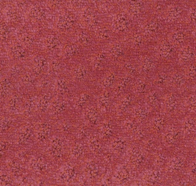 000010-106