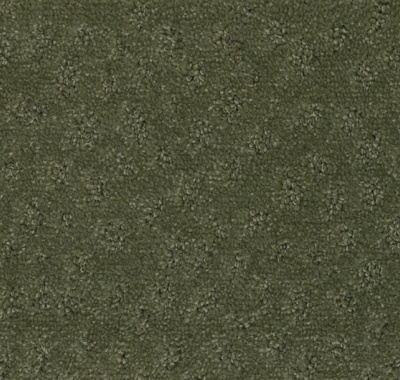 000010-405