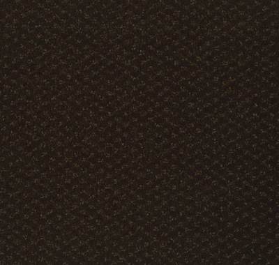 291 sepia 1