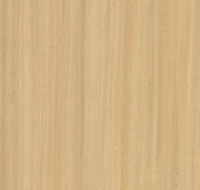 Marmoleum Modular Lines t5216