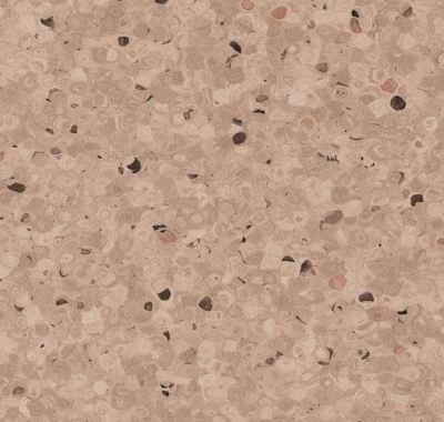 Elagance, 0329 Hazelnut