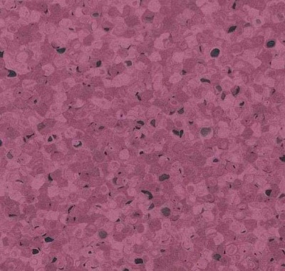 Elagance, 0331 Plum