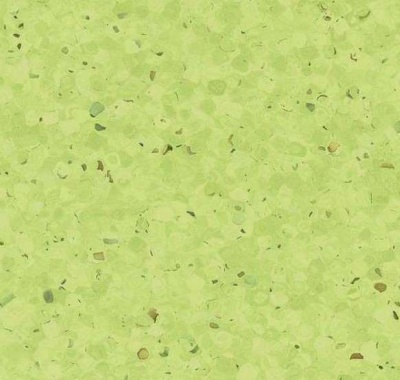 Elagance, 0338 Kiwi
