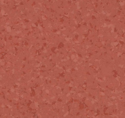 Symbioz, 6055 Tomato
